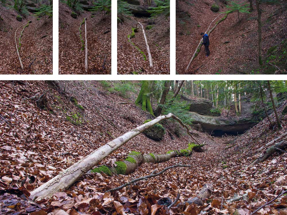 Land Art Achim Booth – Wald 1