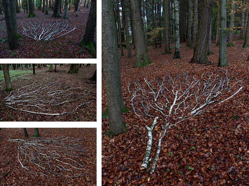 Land Art Achim Booth – Wald 6