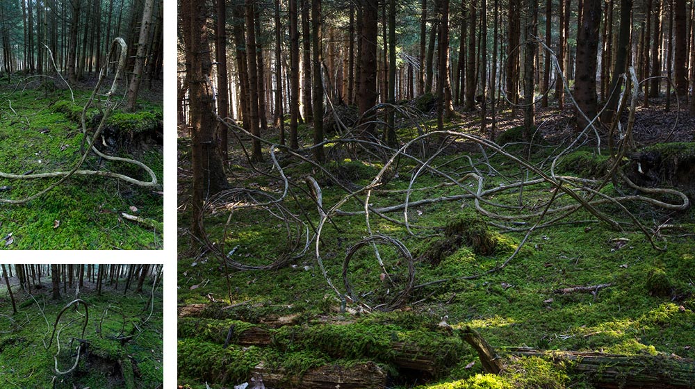 Land Art Achim Booth – Wald 7