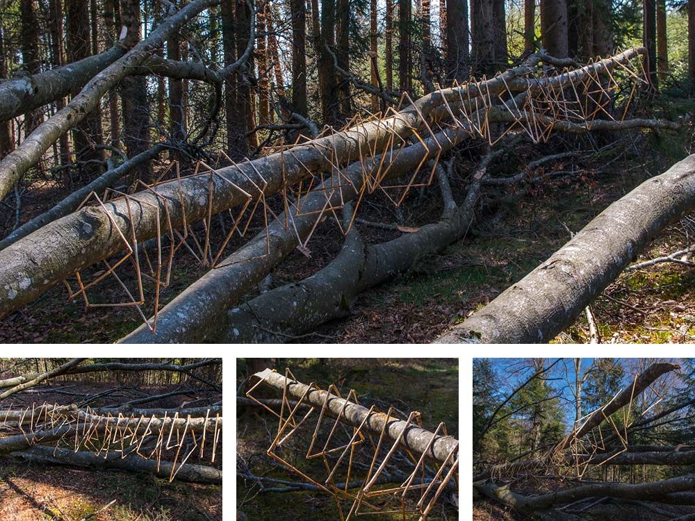 Land Art Achim Booth – Wald 8