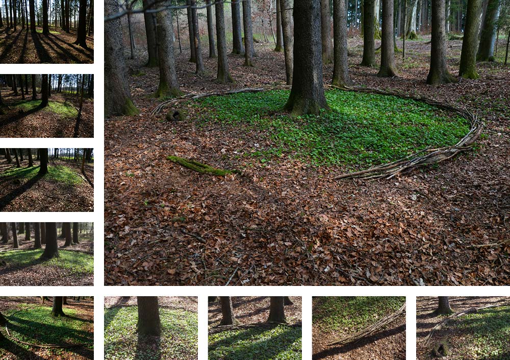 Land Art Achim Booth – Wald 9
