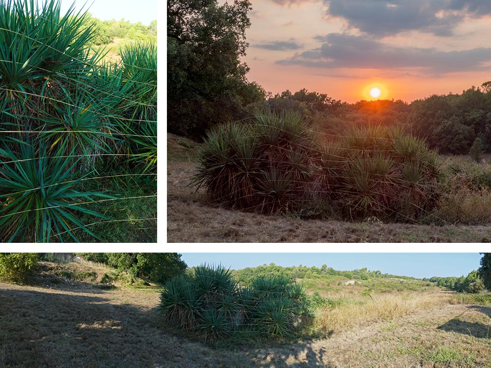 Land Art Achim Booth – Zeichen