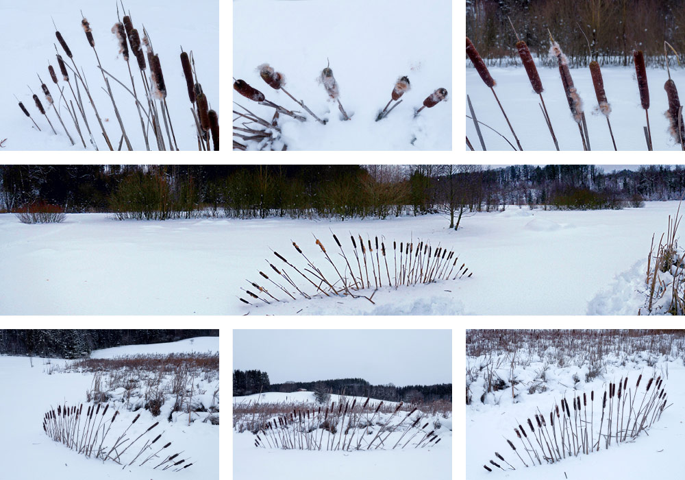 Schilffächer, Land Art Achim Booth – Draußen