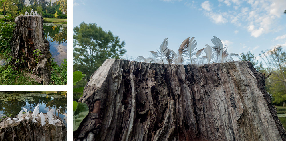 Federstamm, Land Art Achim Booth – Draußen