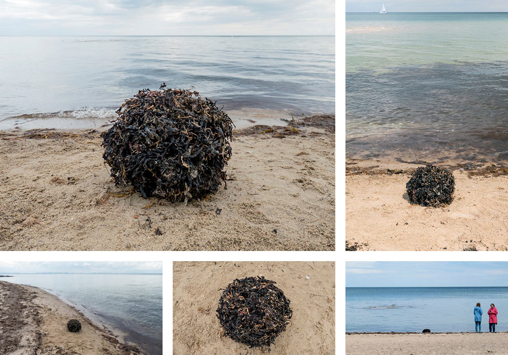 Seetangkugel, Land Art Achim Booth – Draußen