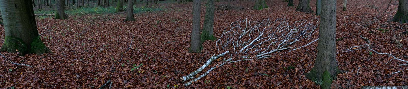 Land Art Achim Booth – Location 1 